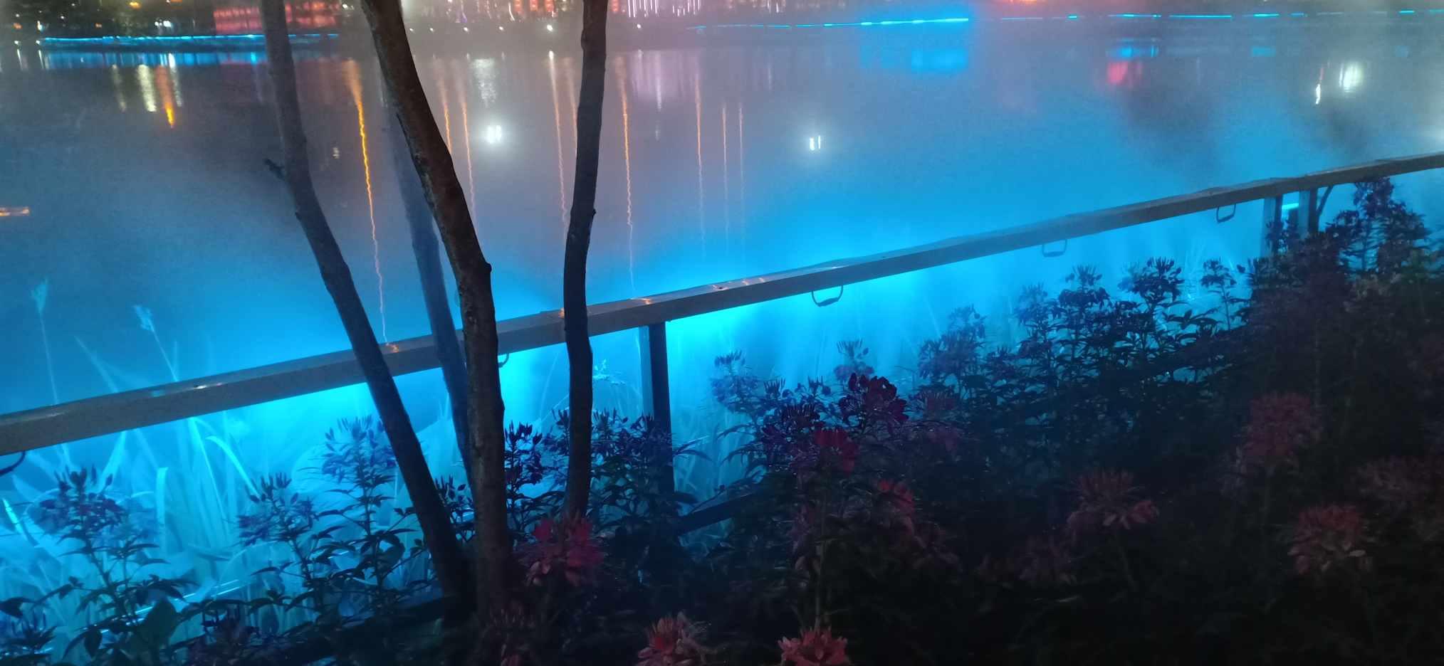 空闲农场